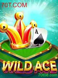 Explorando WildAce: Uma Imersão no Dinâmico Mundo do Novo Jogo da 70T.COM
